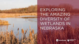 Exploring the Amazing Diversity of Wetlands in Nebraska