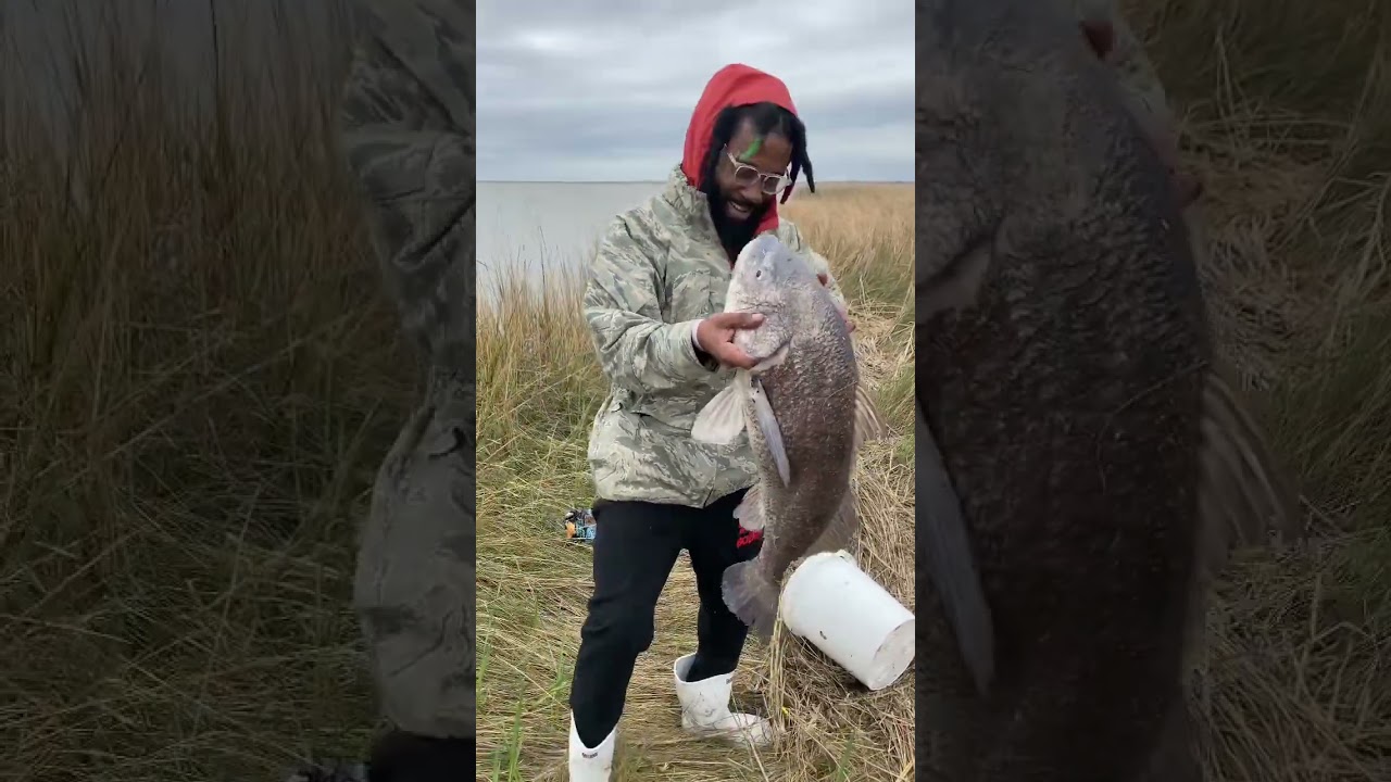 YouTubeでThe God Yogi from Bags And Bodies catches GIGANTIC FISH near the Gulf of Mexico in DULAC, LOUISIANAを視聴 YouTubeでThe God Yogi from Bags And Bodies catches GIGANTIC FISH near the Gulf of Mexico in DULAC, LOUISIANAを視聴