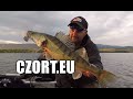 Wakacyjne sandacze z zalewu Czorsztyńskiego - wędkarski Vlog 39