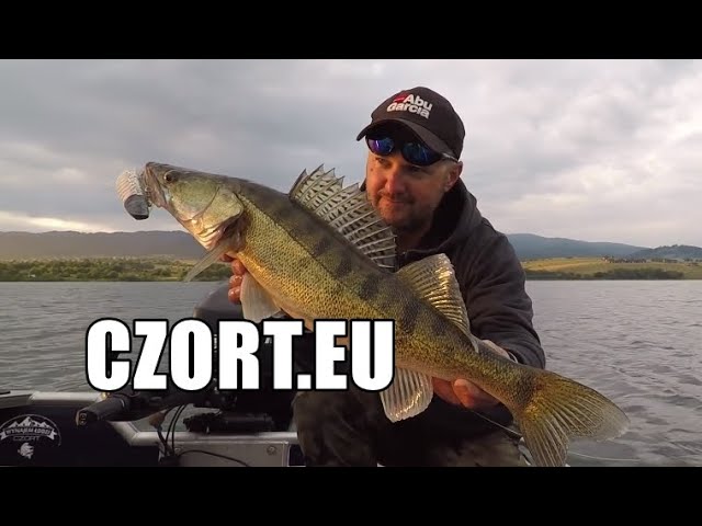 Paradox liner Assert Wakacyjne sandacze z zalewu Czorsztyńskiego - wędkarski Vlog 39 - YouTube
