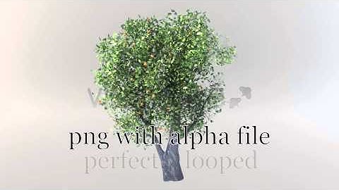 Motion Graphics - Animated Orange Tree | VideoHive