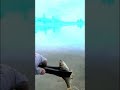 ШОК контент! Sub ZERO #мормышинг #fishing #микроджиг