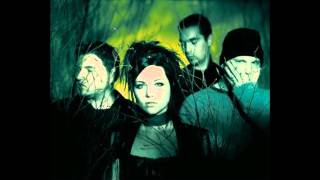 Evanescence - The Only One (Ds Remix)