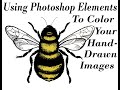 Using Photoshop Elements To Color Your Hand-Drawn Images