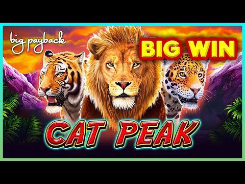 Cat Peak Slot - WELL THAT WAS COOL!