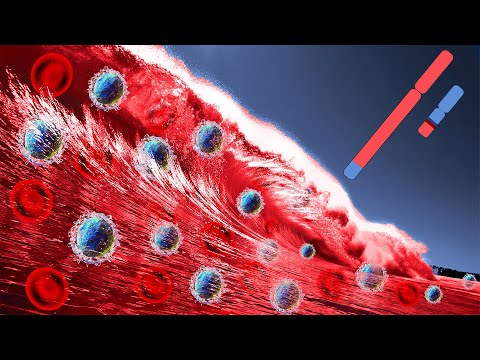 Video: Come La Leucemia Mieloide Cronica Colpisce Il Corpo