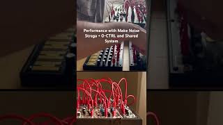 First performance with the @MAKEN0ISEMUSIC Strega, 0-CTRL and Shared System!