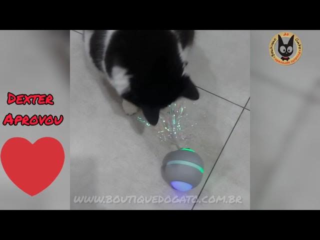 Gato de órgão mágico scratch board com sino interativa gatinho