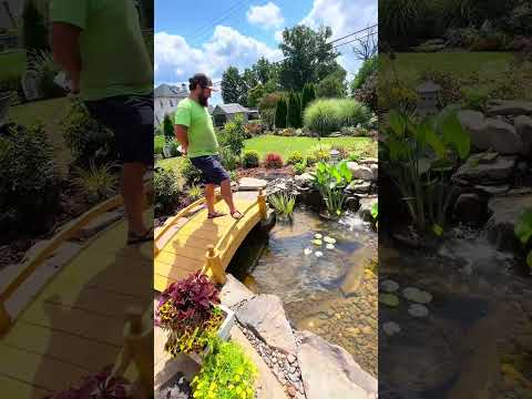 A Legendary Pond Project