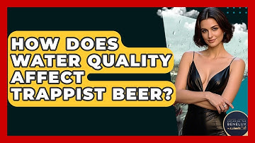 How Does Water Quality Affect Trappist Beer? - Exploring The Benelux