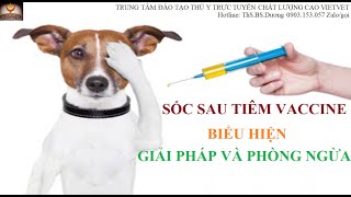 Sốc phản vệ sau tiêm vaccine và biện pháp xử lý