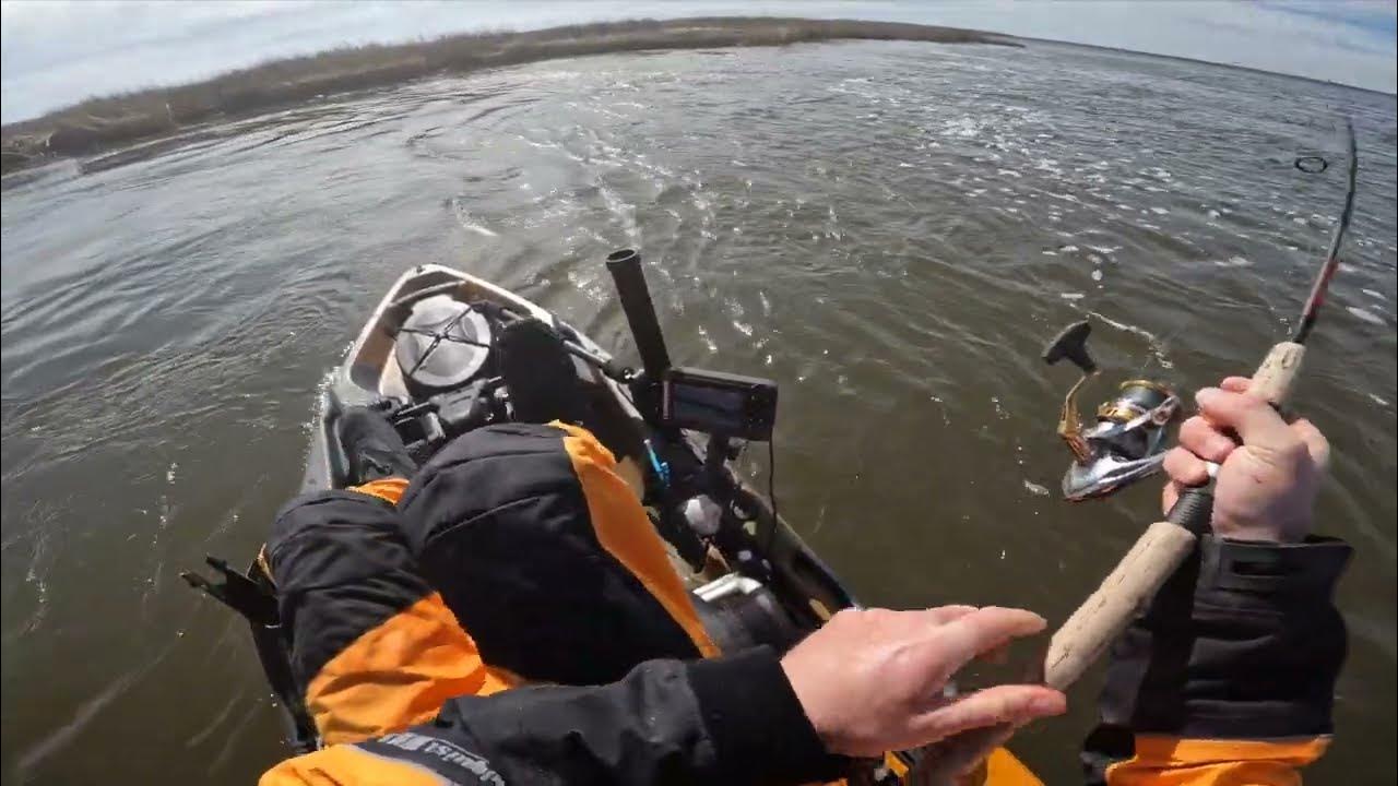 Striper Fishing with Elias V Shads YouTube