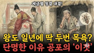 조선시대 평생 목욕을 거의 안 했다고? 계급별 '씻기'의 충격적 진실