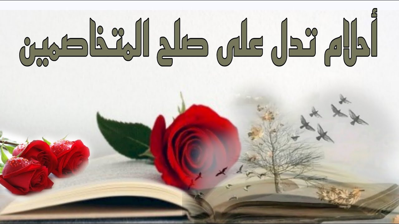 أحلام ورموز تدل على الصلح بين المتخاصمين سواء زوجين أو خطيبين أو طليقين او صديقين او ...