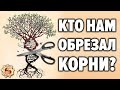 Кто заставил нас забыть предков ? Устройство славянской родовой системы