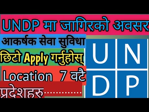 Latest job Vacancy in UNDP || 2078 || Top and Professional job in UNDP ,Top INGO Job ,Turning Point