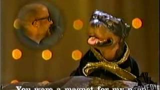 Triumph The Insult Comic Dog  Benefit