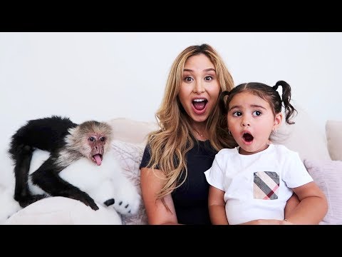 SURPRISING ELLE WITH A PET MONKEY!!!