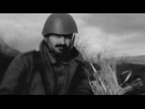 Βίντεο: Τα κουτάβια του Τσερνομπίλ βρίσκονται στο δρόμο τους προς τις Ηνωμένες Πολιτείες
