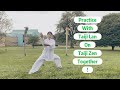 1taiji zen 13 essentials form 13 practice with taiji lan together