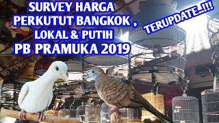 Harga burung perkutut