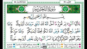 حمزة الجزائري سورة التحريم مكتوبة برواية ورش عن نافع