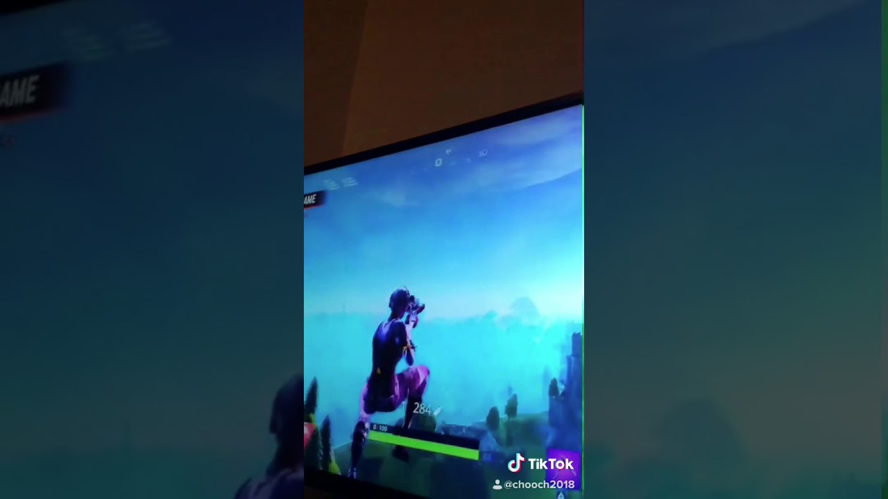 Great snipe 