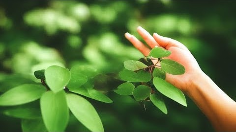 Protect Your Peace: A Guide to Setting Healthy Boundaries in Relationships