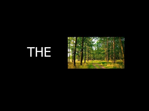 НЕРЕАЛЬНЫЙ СИМУЛЯТОР ПУТЕШЕСТВИЯ В НИЖНИЙ ТАГИЛ! ✅THE FOREST✅обзор, прохождение, финал?