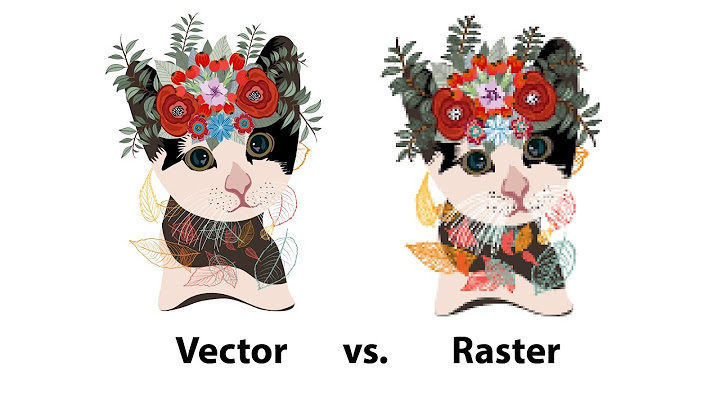So sánh 2 cấu trúc dữ liệu raster và vector năm 2024