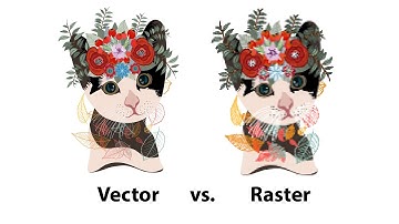 Raster so với Vector: Sự khác biệt và khi nào nên sử dụng