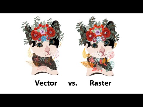 Video: Sự Khác Biệt Giữa đồ Họa Vector Và đồ Họa Raster Là Gì