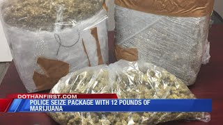 DPD seizes 12 pounds of marijuana