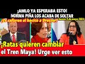 ¡AMLO ya esperaba esto! Norma Piña los acaba de soltar ¡Le callaron el hocico a Dresser!