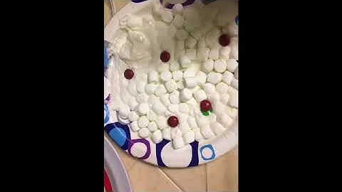 Speed of Light Marshmallow Lab