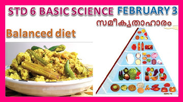 VICTERS STD 6| BASIC SCIENCE| WORKSHEET|FEBRUARY 3|FOOD FOR HEALTH|AAHARAM AAROGYATHINU