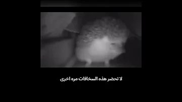 الى متى سوف ابقى انقذك 