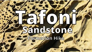 Bay Area Hiking Trails | Tafoni Sandstone Formation Hike | Bay Area Hiking Trails