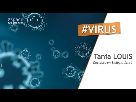 ? Les virus, nos improbables alliés [Tania Louis]