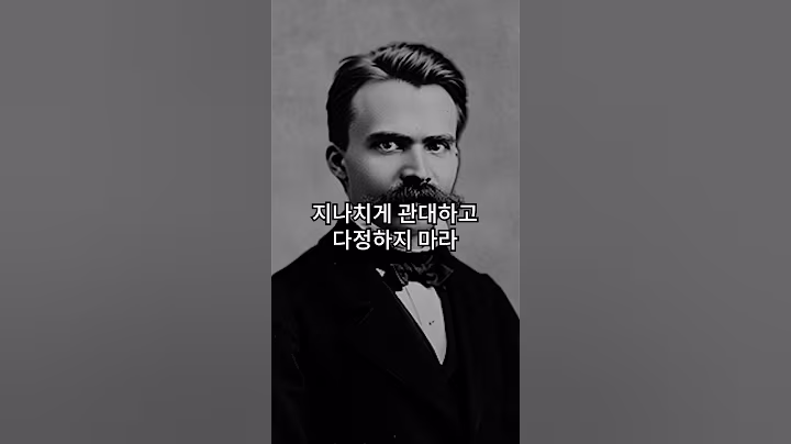 지나치게 관대하고 다정하지 마라 니체의 소름돋는 인간 관계 명언 #니체 #쇼펜하우어 #석가모니 #맹자 #명언 #인생조언 #철학 #좋은글귀 #좋은말 #명언 #shorts
