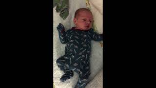 2 Week Newborn Old Baby Noises - #shorts