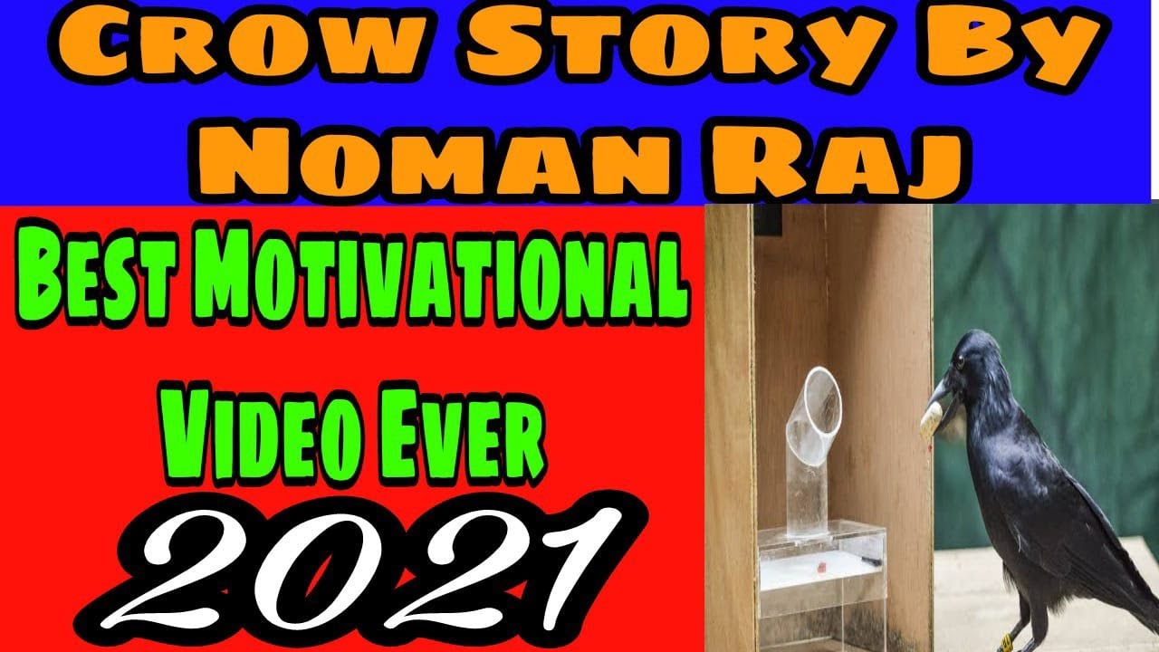 F Noman Raj Crow Story By Noman Raj | Best Motivational Video Ever 2021 | Sonu ...