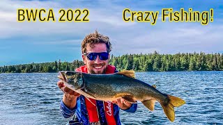 BWCA 2022 | Entry Point 38 | Trout Fishing | Walleye Fishing | Catch and Cook
