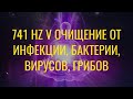 741 HZ Ⓥ Очищение от инфекций, бактерий, вирусов, грибов