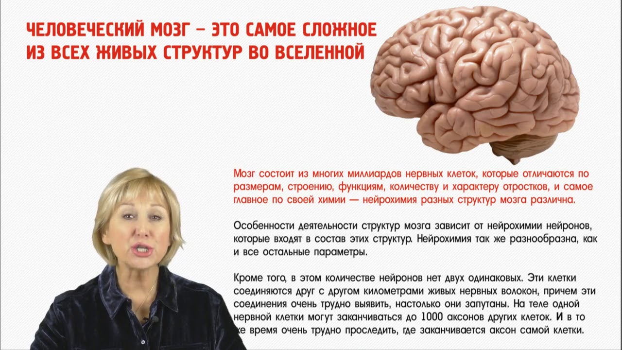 Изучают ли мозг. Мозг управляет. Управлять своим мозгом. Мозг управляет человеком. Мозг управляет нами.