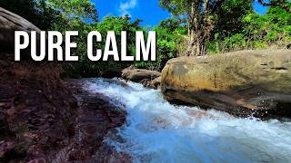 Pure serenity amidst the flowing waters.PURE CALM .4K