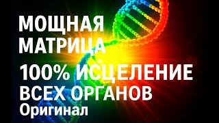 :   100%    .