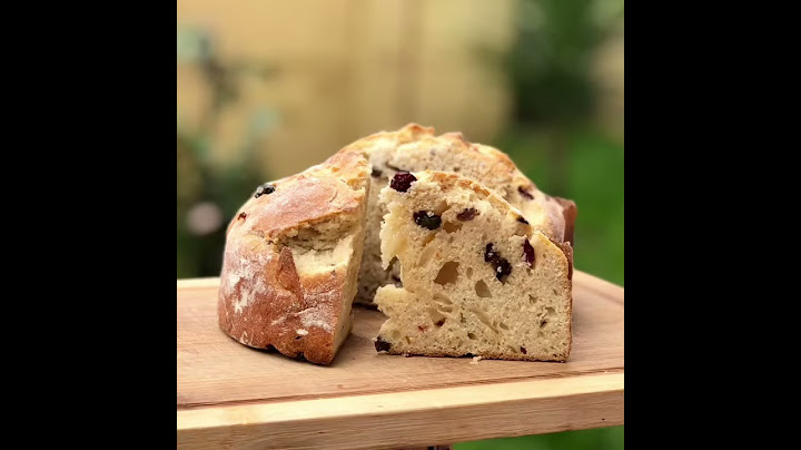 Historia de PANETTONE