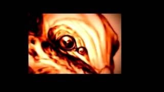 The Alien Races Book, Best Shocking Secret Revealed!
