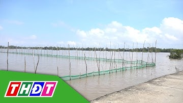 Hội thảo mô hình nuôi tôm càng xanh toàn đực mùa nước nổi | THDT